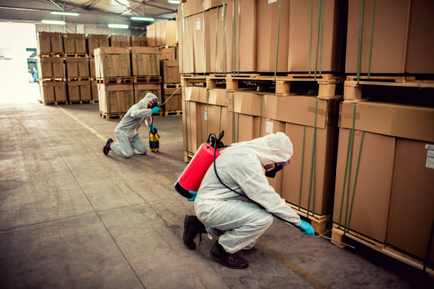 Best Pest Control Near Me  in North Beach, MD