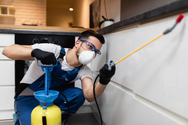 Best Wildlife Control Services  in North Beach, MD