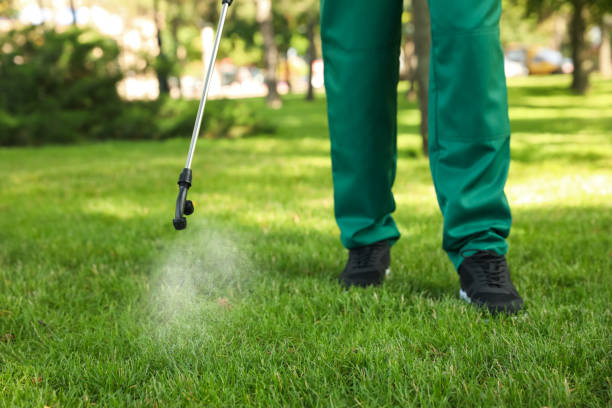 Flea Control Services in North Beach, MD