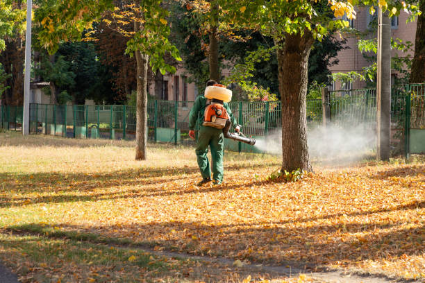 Best Flea Control Services  in North Beach, MD