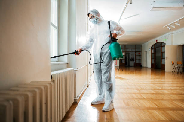 Professional Pest Control in North Beach, MD