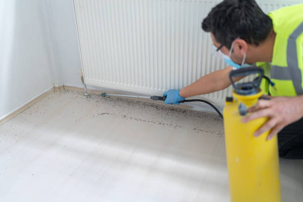 Best Residential Pest Control  in North Beach, MD