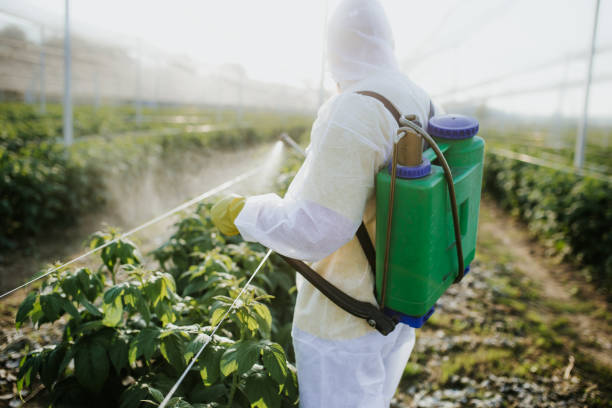  North Beach, MD Pest Control Pros